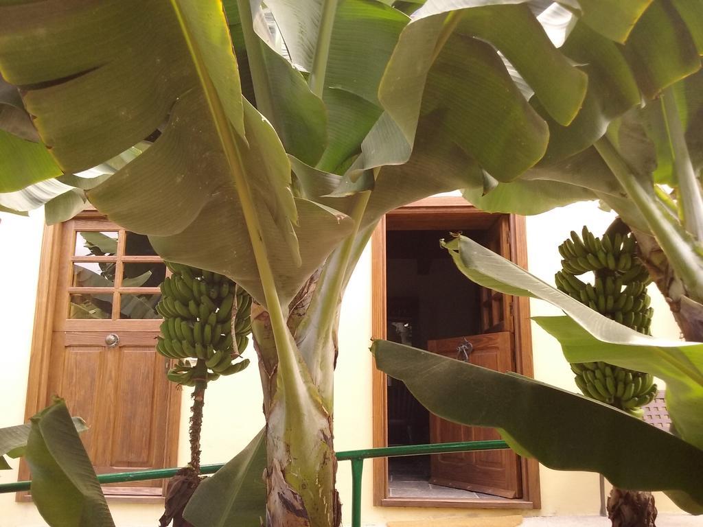 Casa Rural Llano Campo Hermigua Εξωτερικό φωτογραφία
