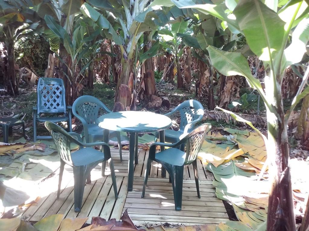 Casa Rural Llano Campo Hermigua Εξωτερικό φωτογραφία