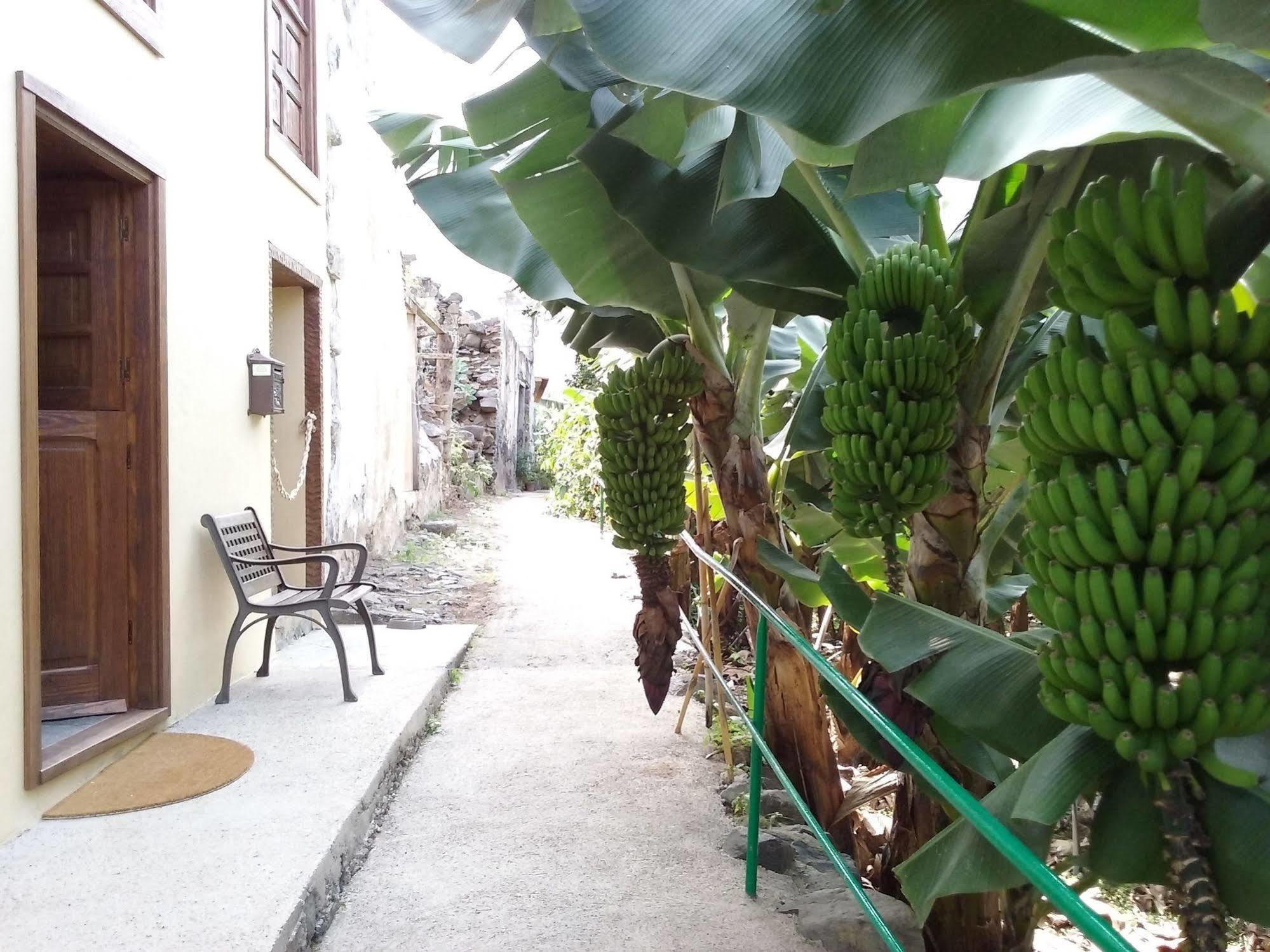 Casa Rural Llano Campo Hermigua Εξωτερικό φωτογραφία
